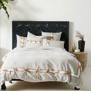 Anthropologie Duvet and three Euro Shams